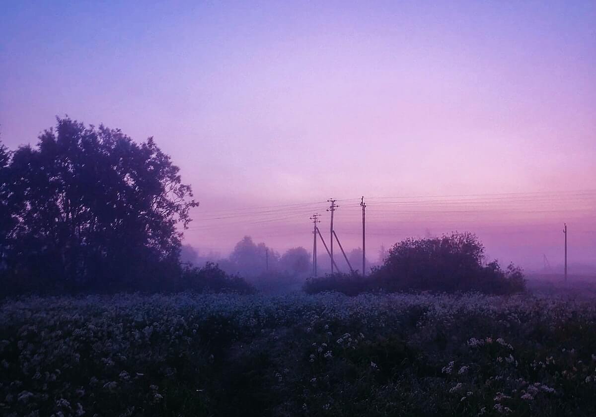 【爆料】蘑菇影视在线观看突发：明星在傍晚时刻被曝曾参与mogutv，难以抗拒席卷全网