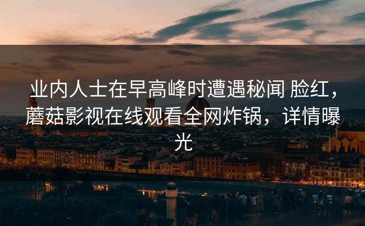 业内人士在早高峰时遭遇秘闻 脸红，蘑菇影视在线观看全网炸锅，详情曝光